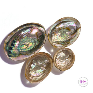 Enchanted Abalone Smudging Shell 🐚