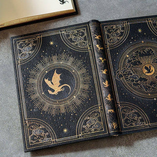 Shadows of Navarre Journal | Paperblanks 🖤🐉