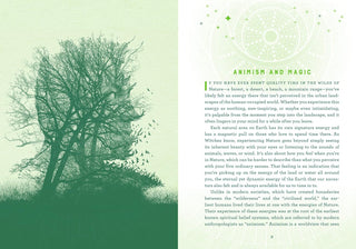 Candle Magic | An Enchanting Spell Book