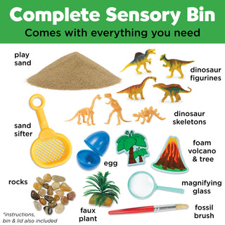Sensory Bins | Hands-On Fun Without the Mess! 🌈