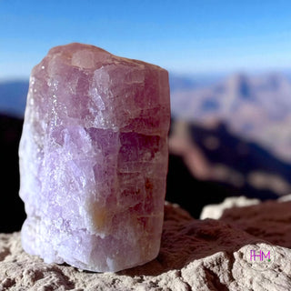 Spellbound Kunzite Raw Crystal 💜