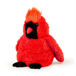 Enchanted Friends | Limited Edition | Warmies 🐈‍⬛🦇💀👁️🪄