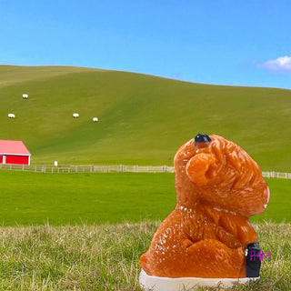 Lucky Little Highland Cow 🐮