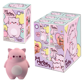 🩷 Pembe the Sass Cat Squishy 🐱✨