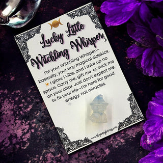 Lucky Little Witchling Whisper 🐈‍⬛