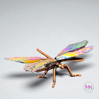 Enchanted Rainbow Quartz Dragonfly ✨