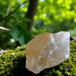 Fire Quartz Tumbled Stone 🔥
