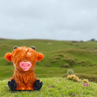 Lucky Little Highland Cow 🐮