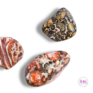 Leopard Skin Jasper Tumbled Stone 🐆