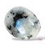 Palm Stone (High Flash)