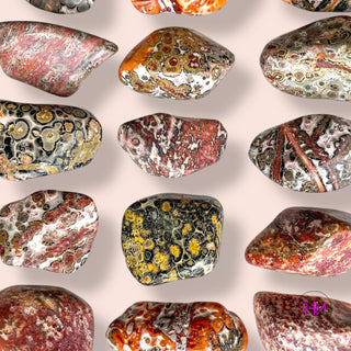 Leopard Skin Jasper Tumbled Stone 🐆