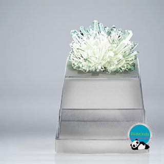 KidzLabs Deluxe Crystal Science Kit ✨🔬