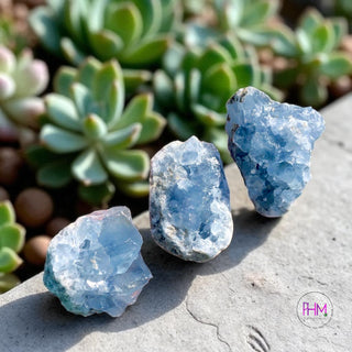 Dreamy Celestite Crystal Collection 💙