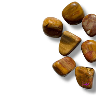 Petrified Wood Tumbled Stone 🌳✨