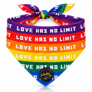 🌈 Pawsitively Proud | Pride Dog Bandana 🐾💜