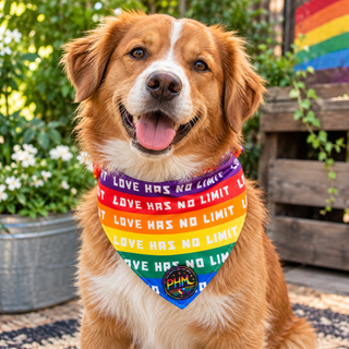 🌈 Pawsitively Proud | Pride Dog Bandana 🐾💜