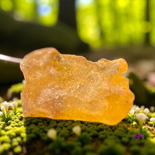 Enchanted Baltic Amber Raw Stone ❤️