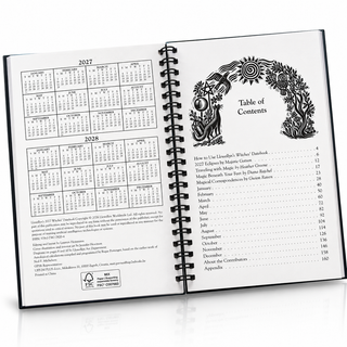 Llewellyn's 2027 Witches' Datebook 🌙