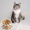 Chewy Vuiton Pet Bowl