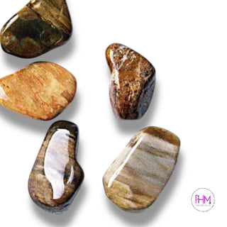 Petrified Wood Tumbled Stone 🌳✨