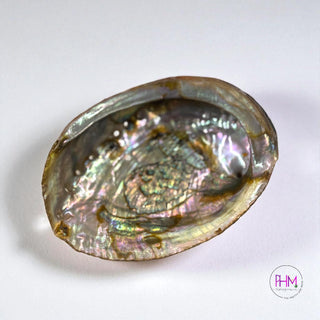 Enchanted Abalone Smudging Shell 🐚