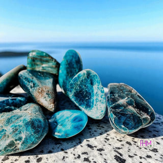 Serene Blue Apatite Crystal 💙