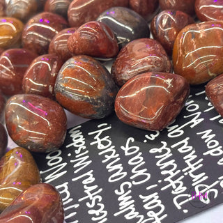 Petrified Wood Tumbled Stone 🌳✨