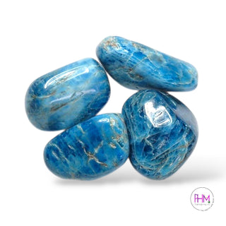 Serene Blue Apatite Crystal 💙