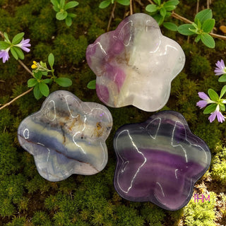 Enchanting Fluorite Crystal Collection💜