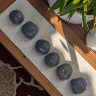 Ruby Kyanite Tumbled Stone 🩷