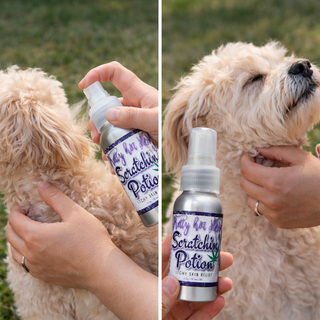 Scratchin' Potion | Itchy Skin Relief for Dogs 🐾