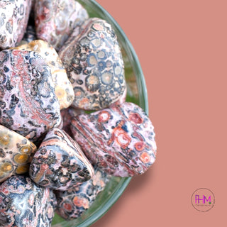 Leopard Skin Jasper Tumbled Stone 🐆