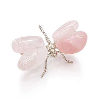 Whimsical Crystal Dragonfly ✨