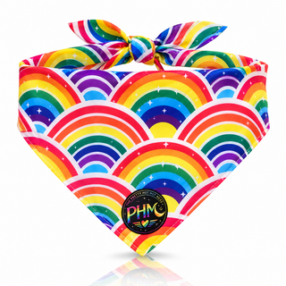 🌈 Pawsitively Proud | Pride Dog Bandana 🐾💜