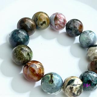 Ocean Jasper Crystal Collection 🏝️