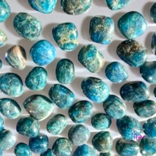 Serene Blue Apatite Crystal 💙