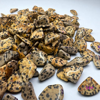 Dalmation Jasper Crystal Collection😎