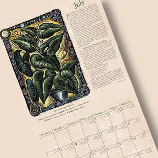 ✨ 2026 Llewellyn’s Witches’ Calendar ✨