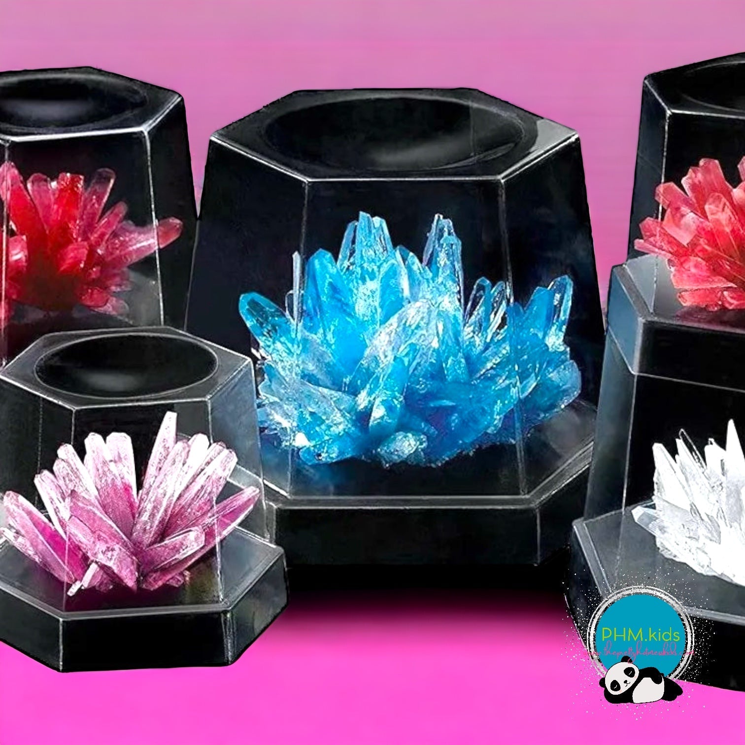 Crystal Growing Experiment