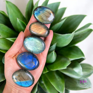 Purple Flash Labradorite Palm Stone 🔮