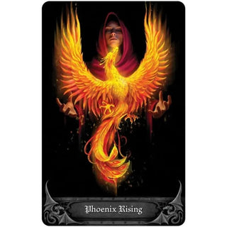 Anne Stokes Gothic Oracle 🌹 - Tarot Cards