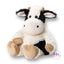 Black and White Cow