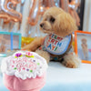 Birthday Girl Cake Dog Toy - Toys