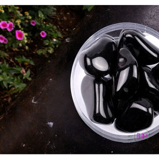 Black Obsidian Tumbled Stone 🌑🔮 - Crystals