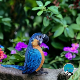 Buster Plush Macaw 🦜 - Stuffed Animals
