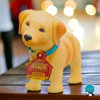 Buzz Epic Labrador Puppy