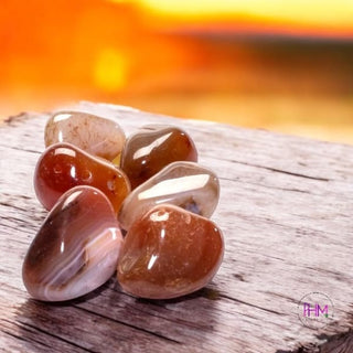 Carnelian Tumbled Stone 🧡 - Crystals