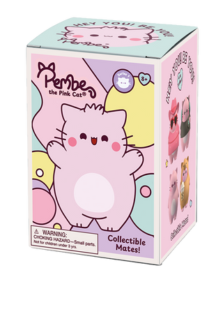 🩷 Pembe the Sass Cat Squishy 🐱✨