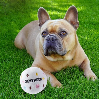 Chewy Vuiton Soft Ball - Dog Toys