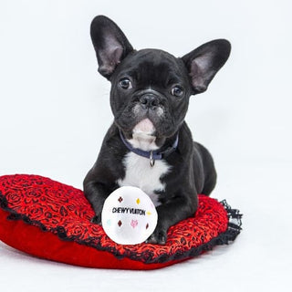 Chewy Vuiton Soft Ball - Dog Toys